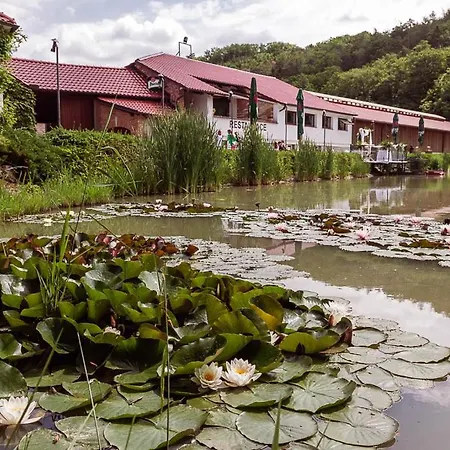 Kopansky Mlyn Guest house