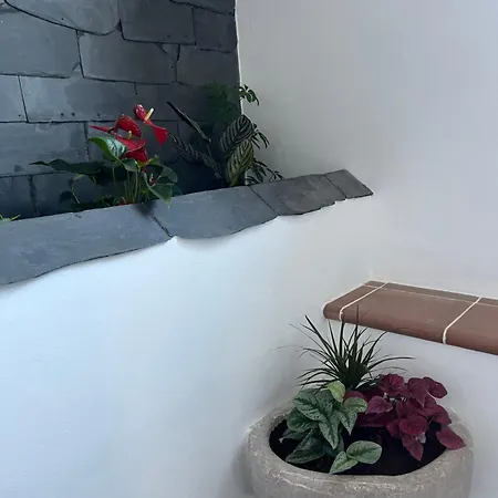 Guest house Kopansky Mlyn *