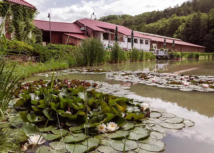 Kopansky Mlyn Guest house